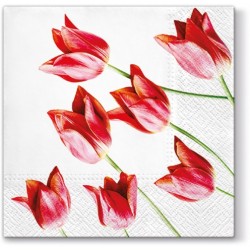Pl Serwetki Red Tulips